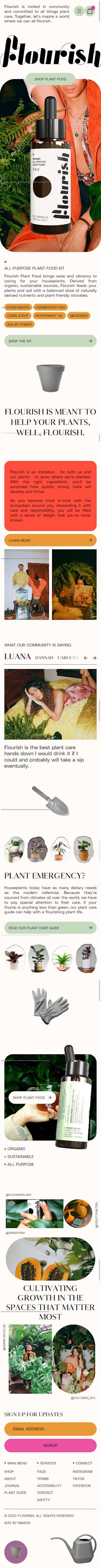 Flourish Plant