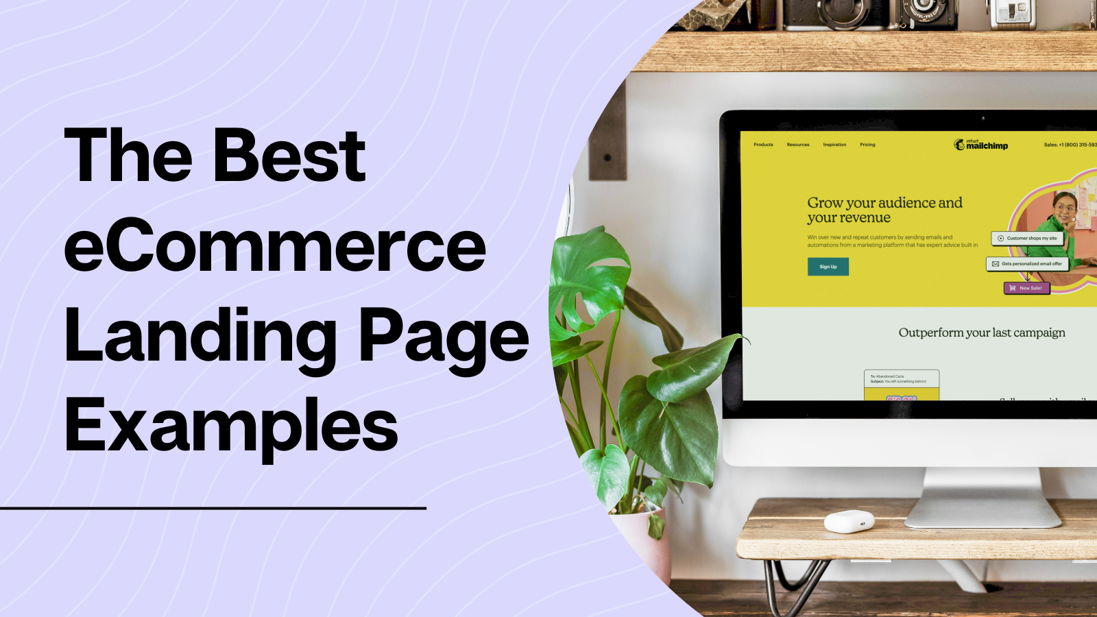 The Best eCommerce Landing Page Examples