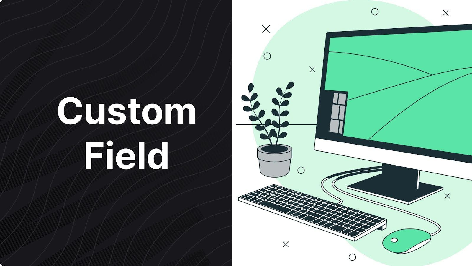 Understanding Custom Field in eCommerce: A Comprehensive Guide