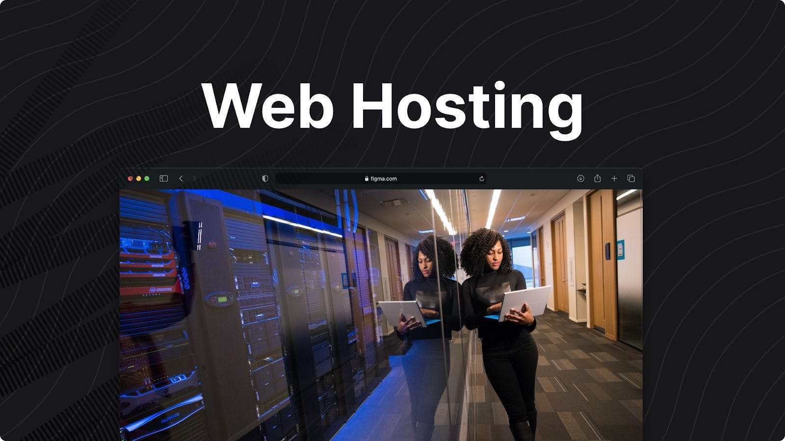 Web Hosting: Everything You Need to Know