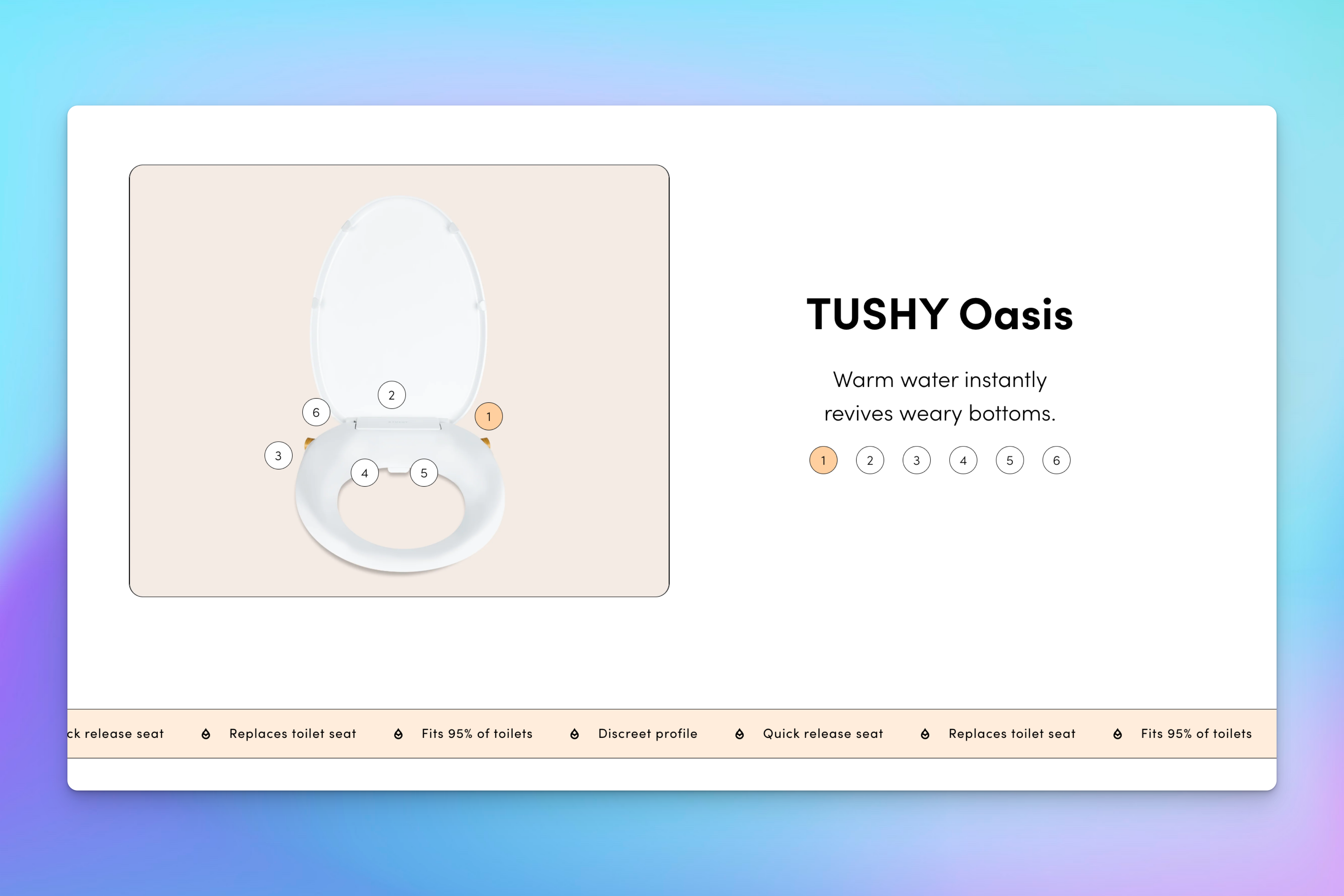 A TUSHY Oasis bidet seat is shown with numbered highlights, describing its warm water feature and compatibility.